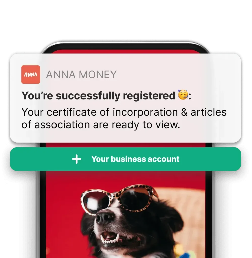 anna money company formation review