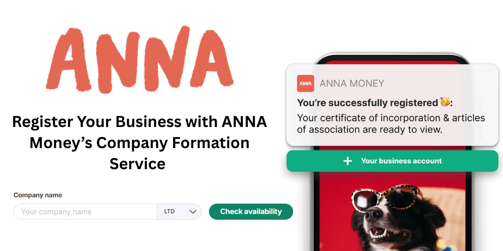 anna money company formation review