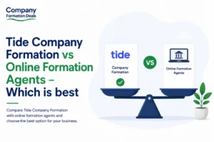 tide company formation comparison